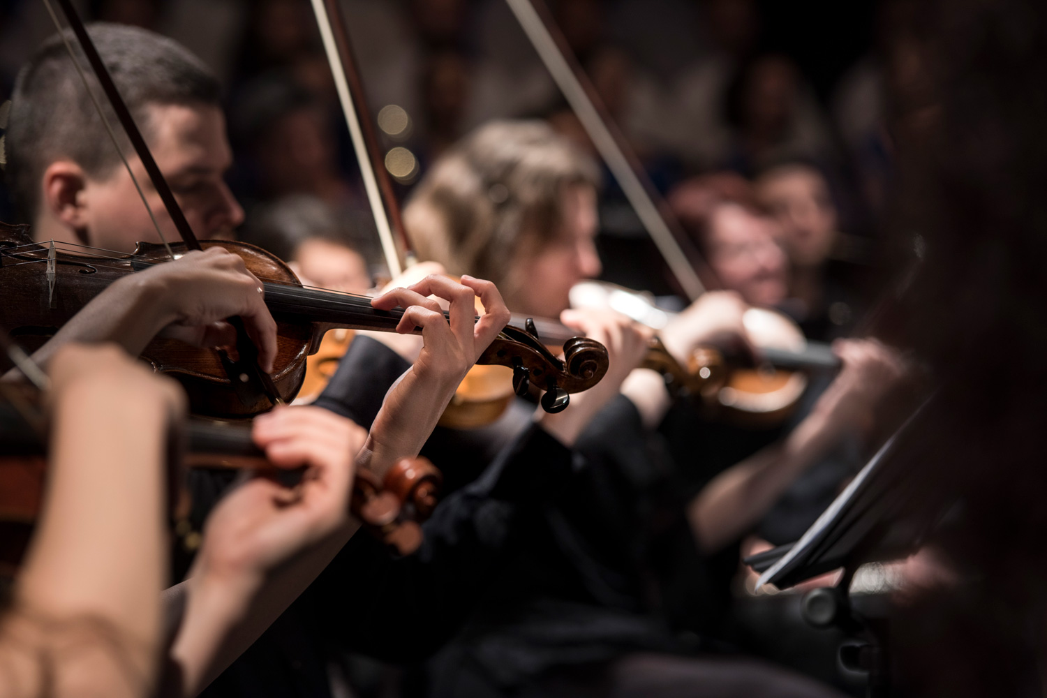 symphony series